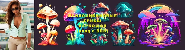 дживик Елизово