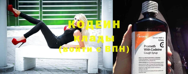 дживик Елизово