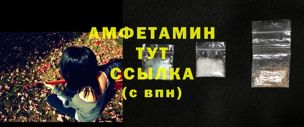 шишки Елабуга
