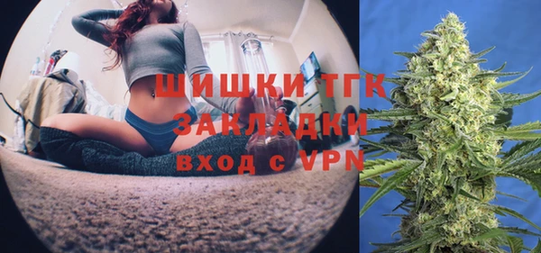 метадон Ельня