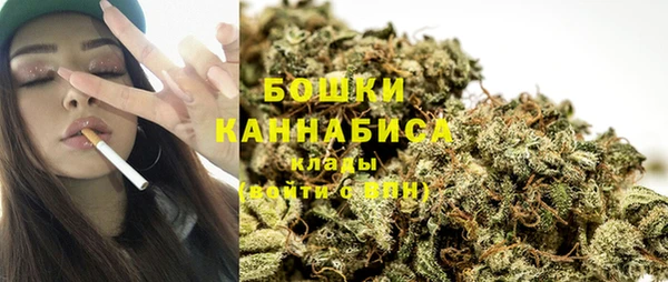метадон Ельня