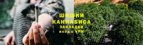 шишки Елабуга