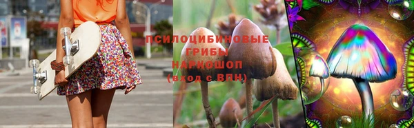 шишки Елабуга