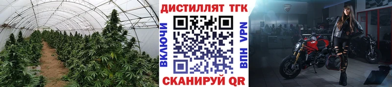 ТГК Wax  Купить где  Санкт-Петербург 