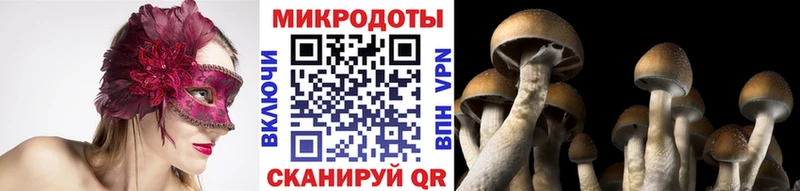 Купить закладки  Санкт-Петербург  Псилоцибиновые грибы ЛСД 